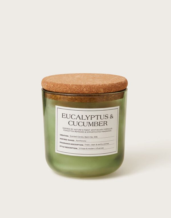 Monsoon Fresh Eucalyptus and Cucumber Scented Candle