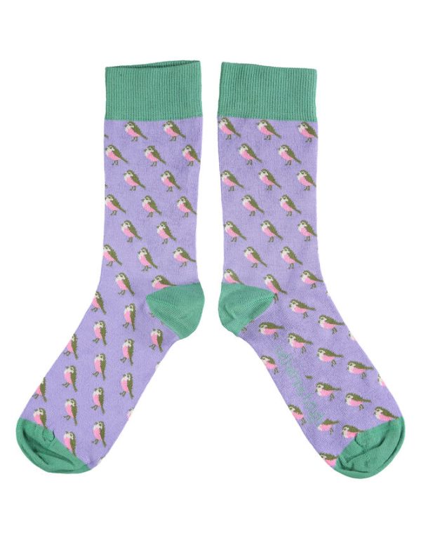 Monsoon Catherine Tough Robin Print Socks - Image 2