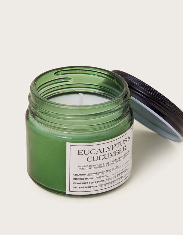 Monsoon Eucalyptus and Cucumber Scented Candle - Image 2