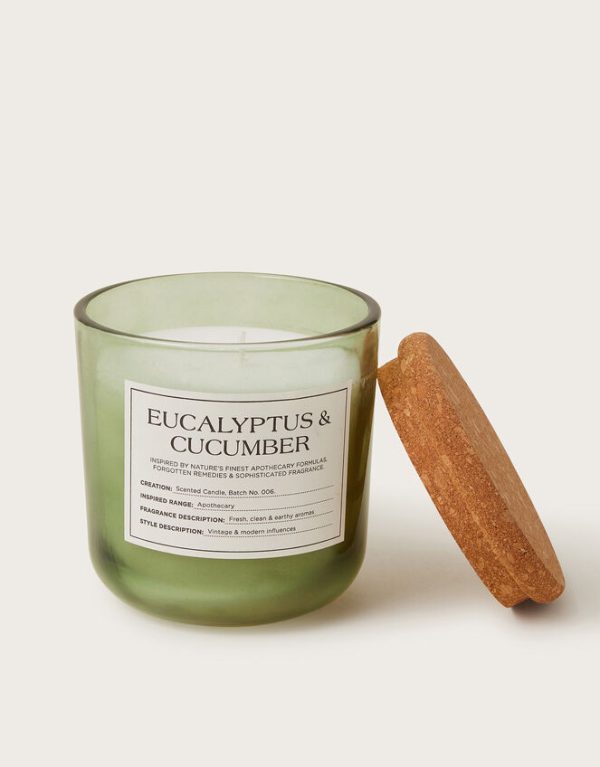 Monsoon Fresh Eucalyptus and Cucumber Scented Candle - Image 3