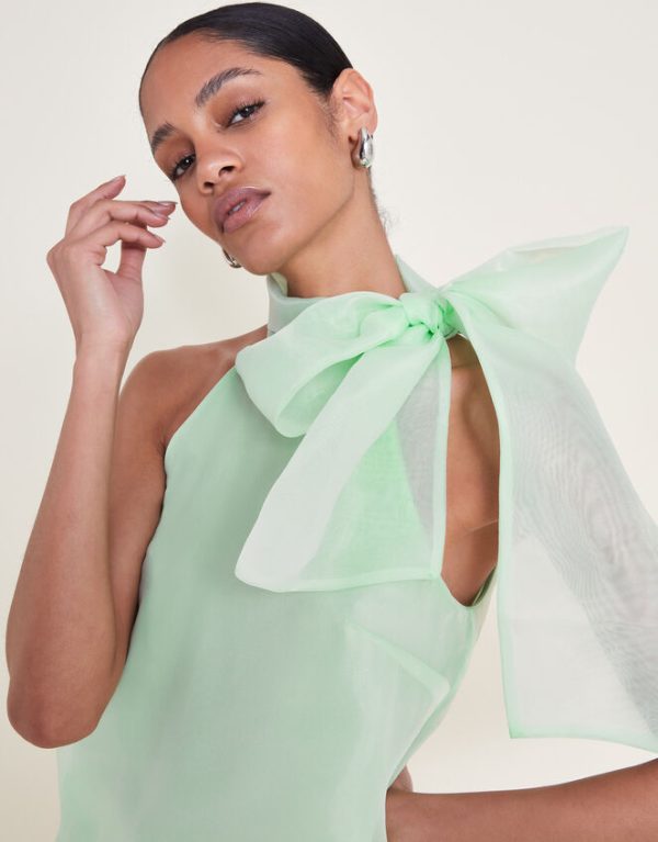 Monsoon Vera Organza Top Green - Image 2