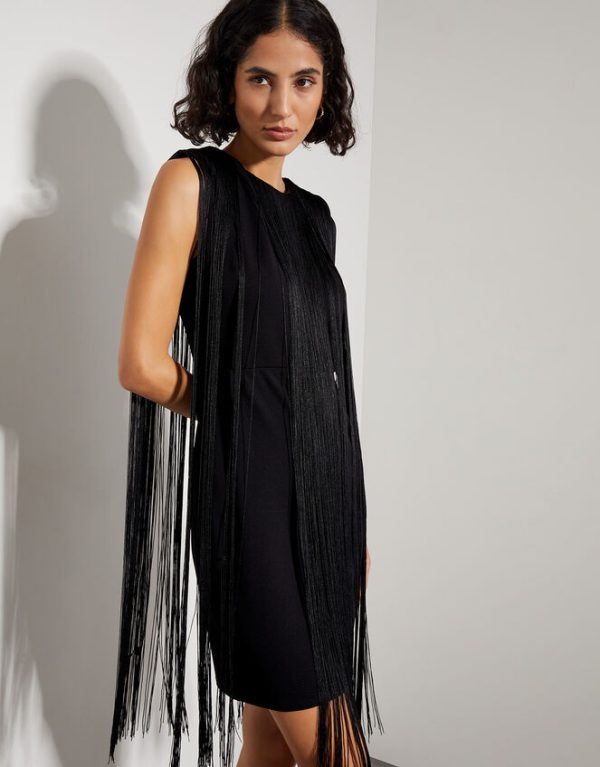 Monsoon Tara Sleeveless Fringe Mini Dress Black - Image 3