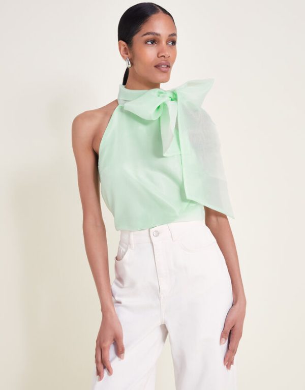 Monsoon Vera Organza Top Green - Image 4