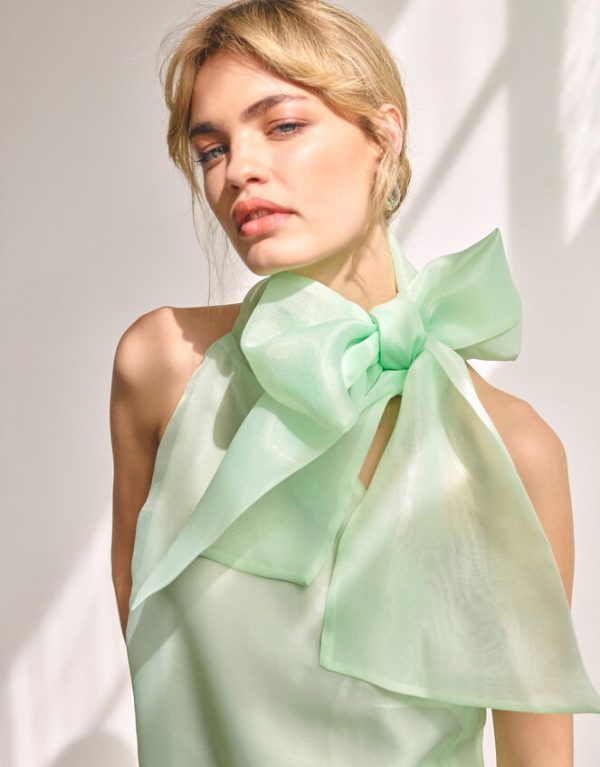 Monsoon Vera Organza Top Green